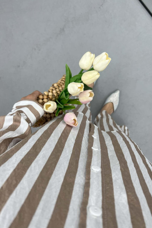 Striped Suit Brown