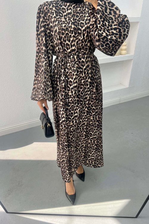 Leopard Print Satin Dress Leopard