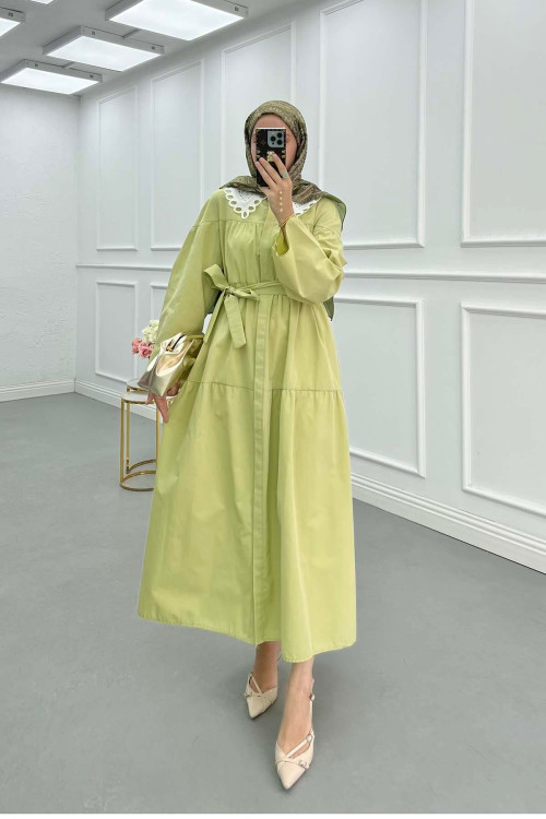 Sare Fashion Belted Dress with Collar Detail in Pistachio Green