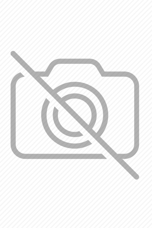 MISCELLANEOUS PRODUCTS